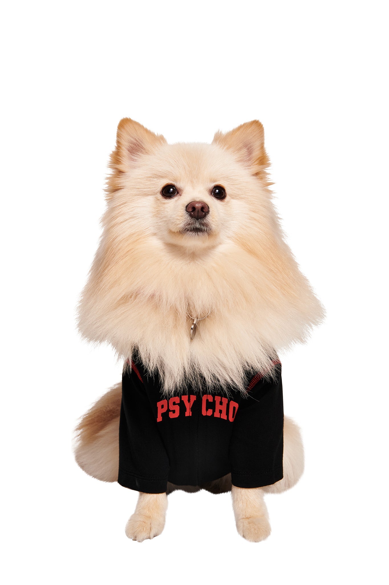 BLARE BEST FRIEND DOG HOODIE - BLACK PSYCHO
