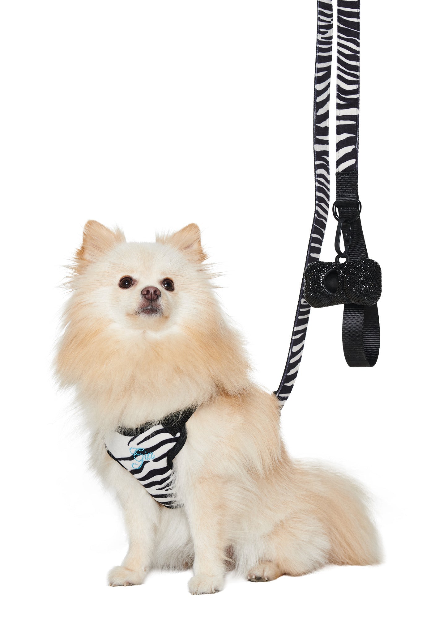 STAR PAWFECT 3-PIECE SET - FINE LINE ZEBRA