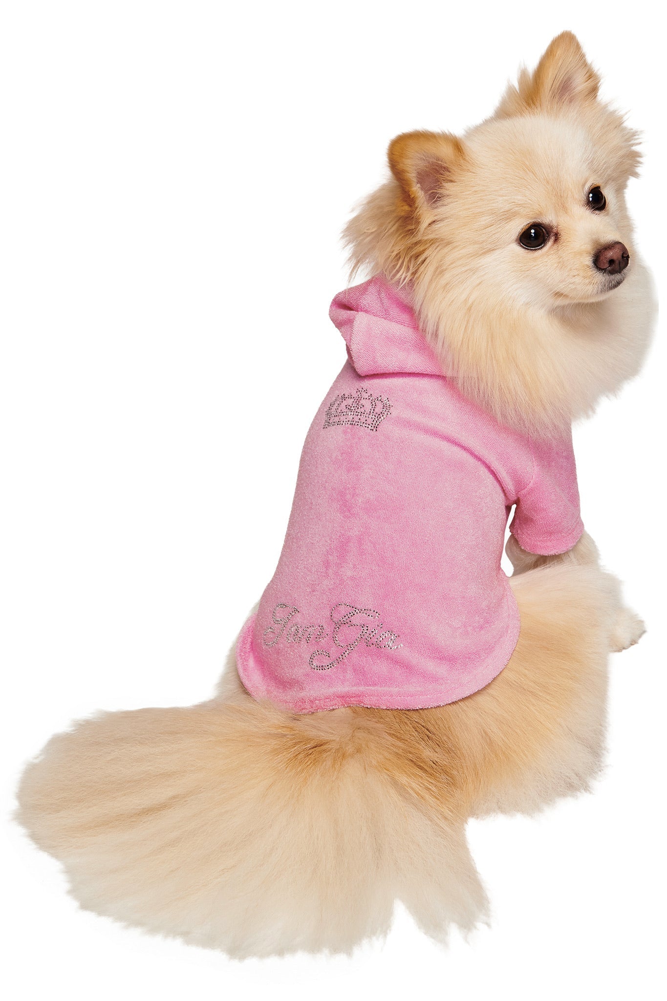 HONEY DOG HOODIE - PINK